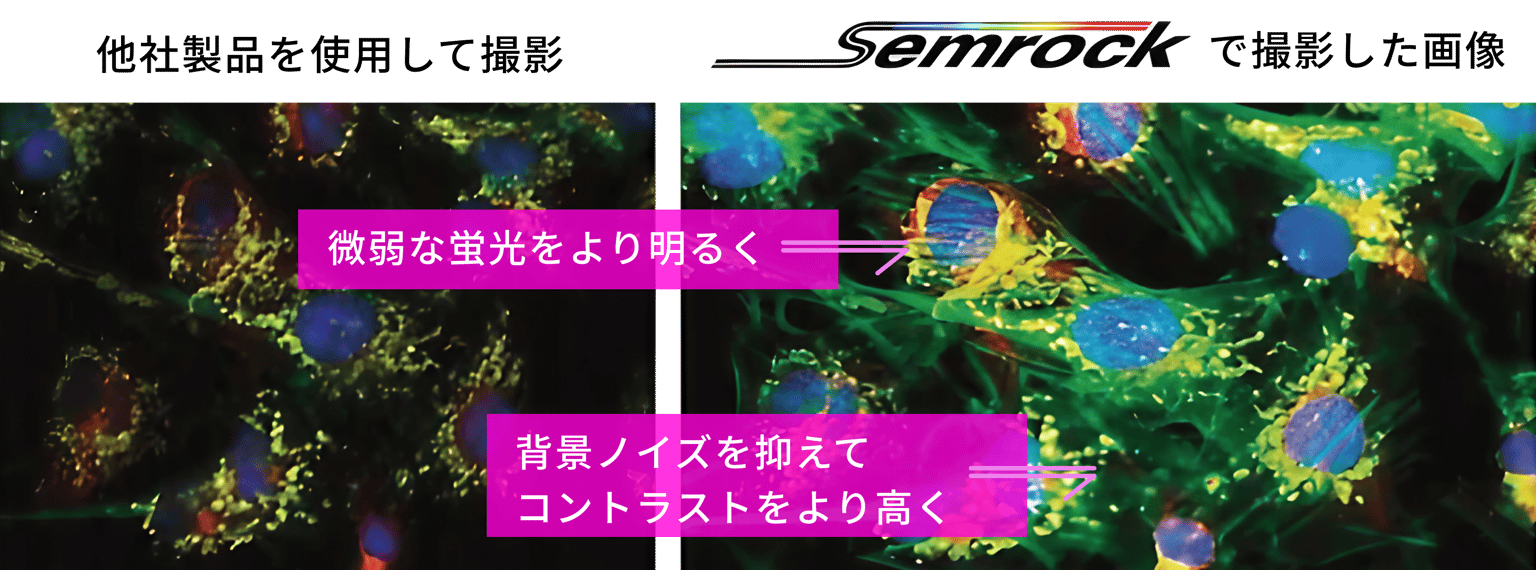 6 N M1hjmr Uhc Ci B437hh Z 2024 10 3 10 17 56 Semrock 07 (2).png
